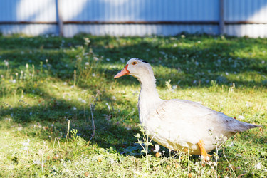 Similar image 21349245