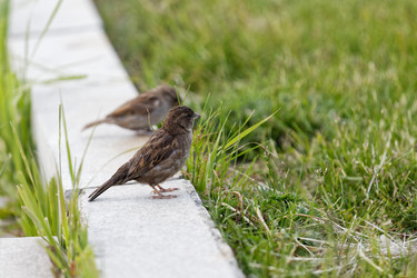 Similar image 21349247