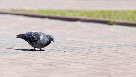 Similar image 21349249