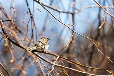 Similar image 21349250