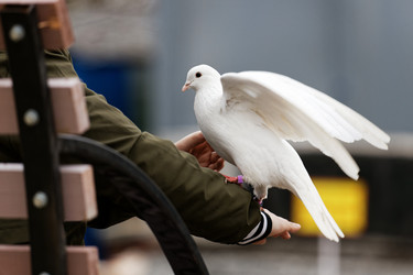 Similar image 21349251