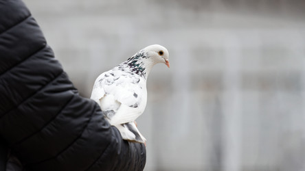 Similar image 21349252