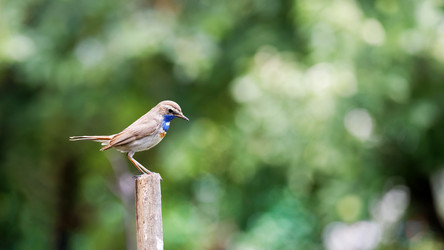 Similar image 21349253