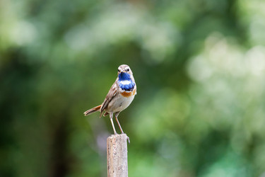 Similar image 21349254