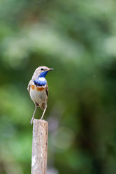 Similar image 21349255