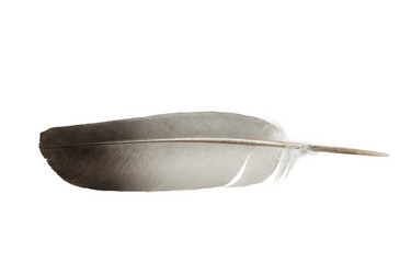 Similar image 21349256