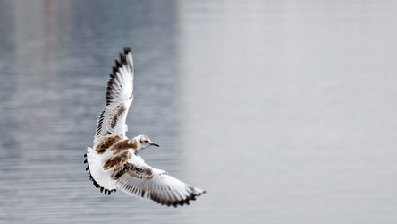 Similar image 21349257