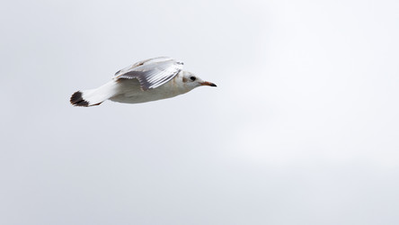 Similar image 21349258