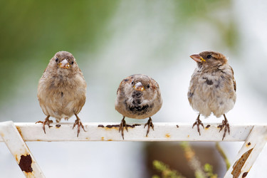 Similar image 21349259