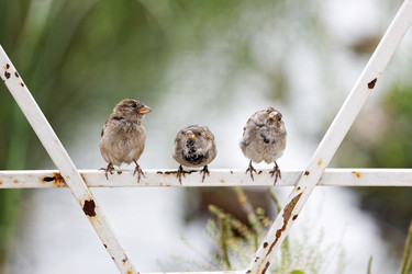 Similar image 21349260