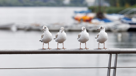 Similar image 21349261