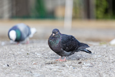 Similar image 21349262