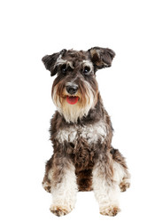 Similar image 21349266