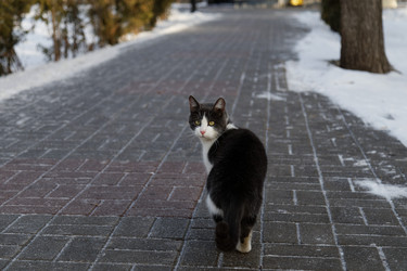 Similar image 21349268