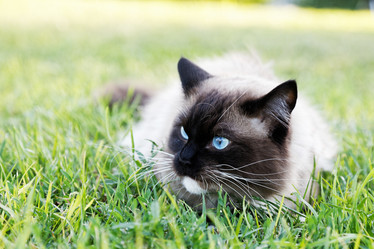 Similar image 21349270