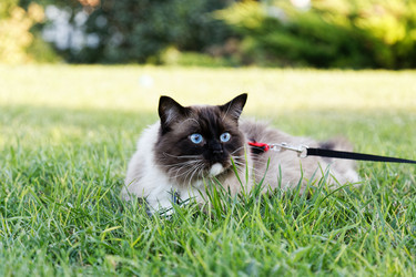 Similar image 21349271