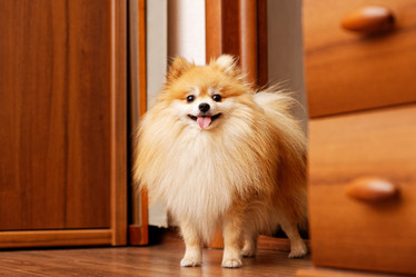 Similar image 21349273