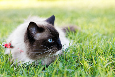 Similar image 21349274