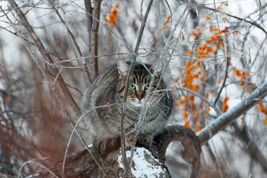 Similar image 21349275