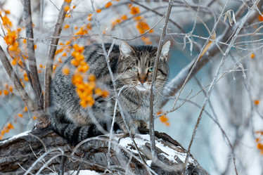 Similar image 21349276