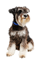 Similar image 21349277