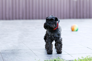 Similar image 21349280