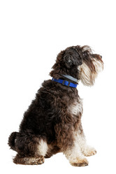 Similar image 21349281