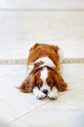 Similar image 21349284