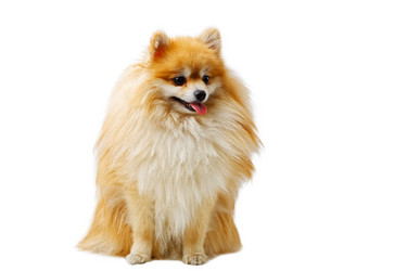 Similar image 21349285