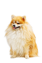 Similar image 21349287