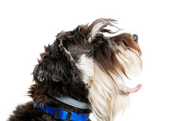 Similar image 21349289