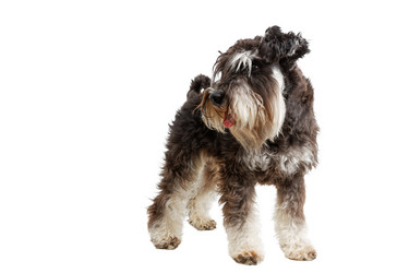 Similar image 21349291