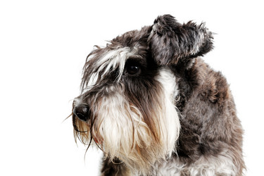 Similar image 21349292