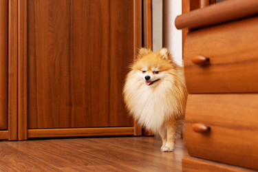 Similar image 21349293