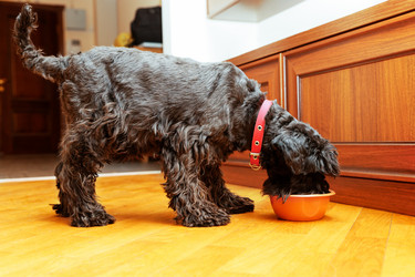 Similar image 21349294