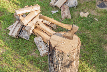 Similar image 21347855