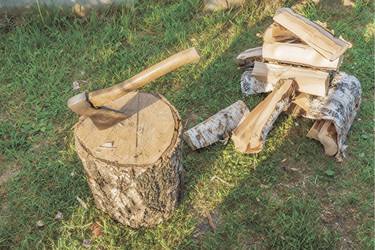 Similar image 21347856