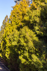 Similar image 21348326