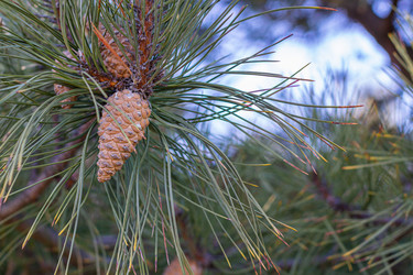 Similar image 21348328