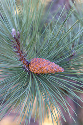 Similar image 21348331