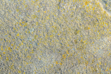 Similar image 21348341