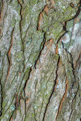 Similar image 21348342