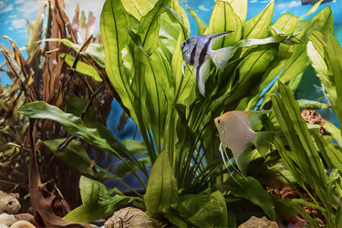 Similar image 21347835