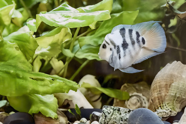 Similar image 21347837