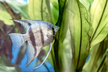 Similar image 21347838