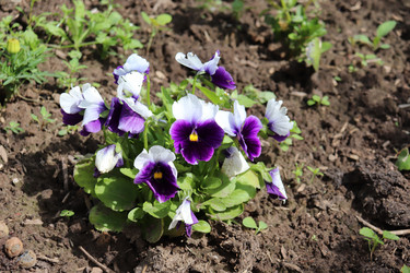 Similar image 21348285