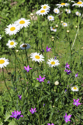 Similar image 21348289