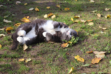 Similar image 21348291