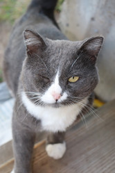 Similar image 21348292