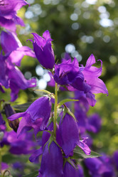 Similar image 21348293